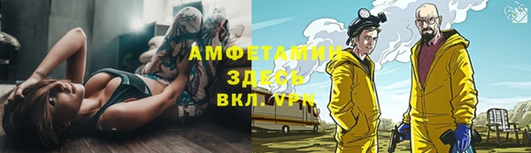 соль ск Алзамай