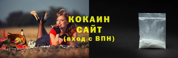 соль ск Алзамай